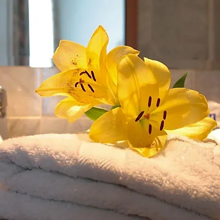 Mainbogen Hotel Offenbach am Main