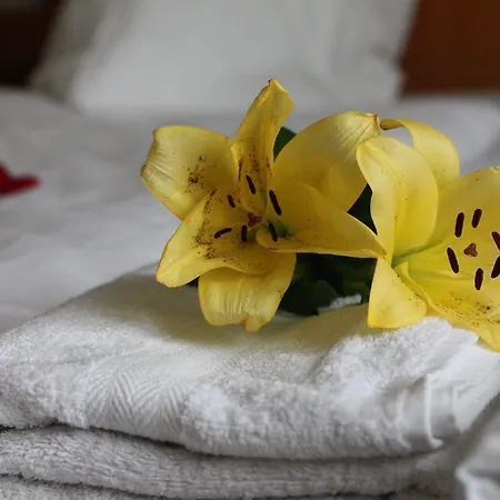 Mainbogen Hotel Offenbach am Main